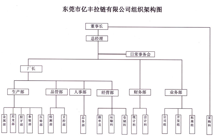 组织架构 - 东莞美彩国际有限公司