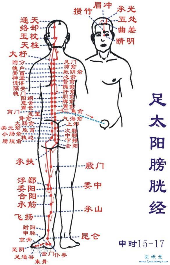 如何利用足太阳膀胱经“生命拉链”提精神，增加健康指数